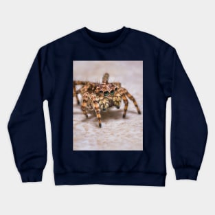 Orange-Brown Jumping Spider on a Kitchen Tile. Macro Photograph Crewneck Sweatshirt